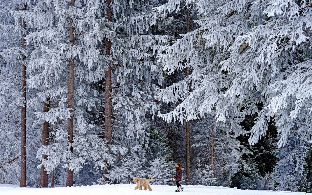 Na południu nawet -16 stopni Celsjusza w najbliższą sobotę - ostrzega Instytut Meteorologii i Gospodarki Wodnej. Od niedzieli mróz już w całym kraju.