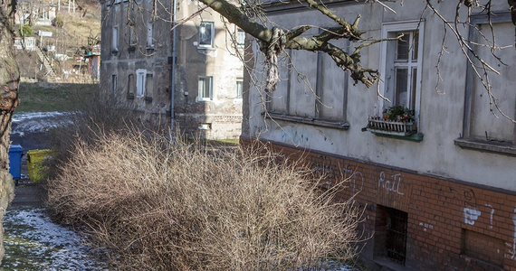 Zarzut znieważenia zwłok usłyszała dziś 28-latka z Wałbrzycha, która w poniedziałek w krzakach w okolicach swojego domu porzuciła ciało noworodka. Daria P. przyznała się do winy. 