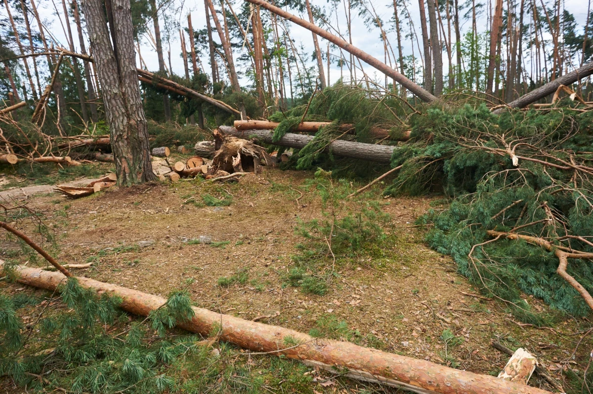 PO domaga się od wojewody pomorskiego Dariusza Drelicha, by przekazał nagrodę, otrzymaną za pracę w 2017 r. na rzecz poszkodowanych w wichurach na Pomorzu - poinformował w środę poseł Platformy Zbigniew Konwiński.