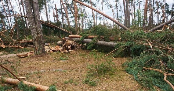 PO domaga się od wojewody pomorskiego Dariusza Drelicha, by przekazał nagrodę, otrzymaną za pracę w 2017 r. na rzecz poszkodowanych w wichurach na Pomorzu - poinformował w środę poseł Platformy Zbigniew Konwiński.