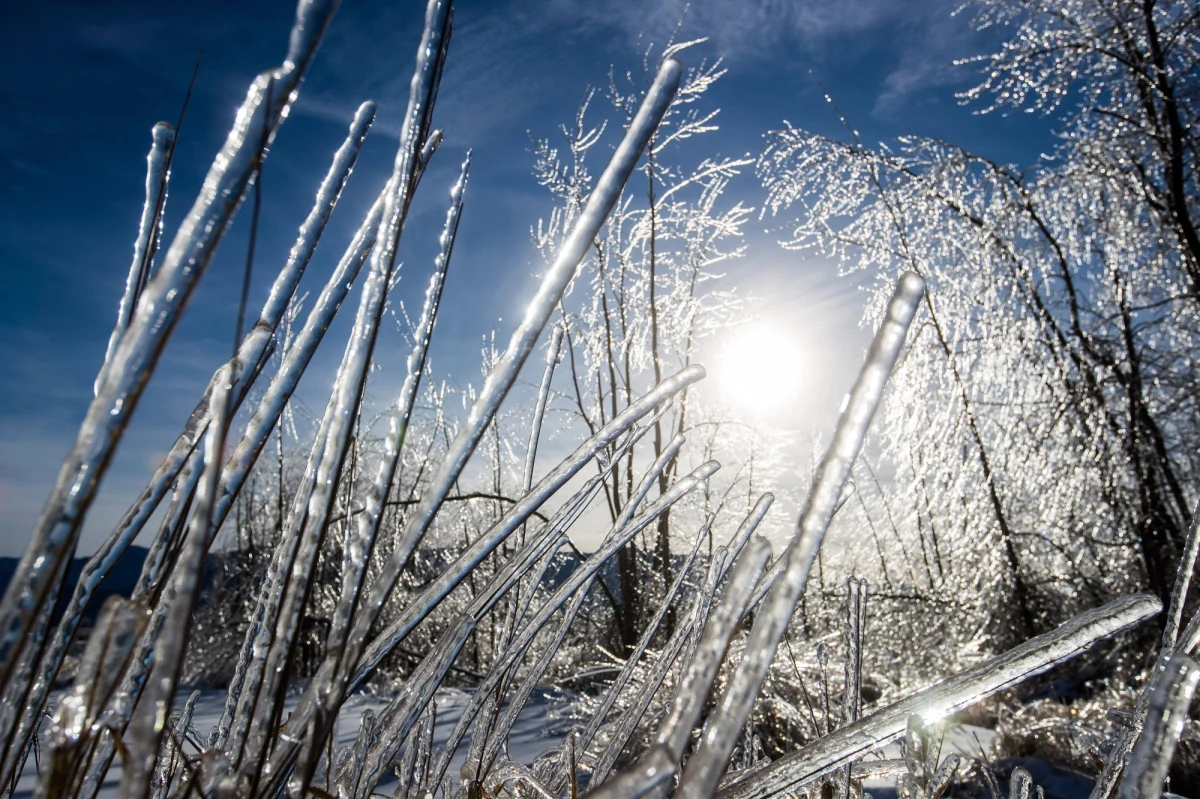Nadchodzą chłodne dni. Najzimniej ma być na północnym wschodzie i w kotlinach górskich, gdzie temperatura może lokalnie spaść nawet do minus 18 stopni C. Na północy kraju wrażenie chłodu będzie potęgowane przez wiatr - wynika z prognoz IMGW-PIB.
