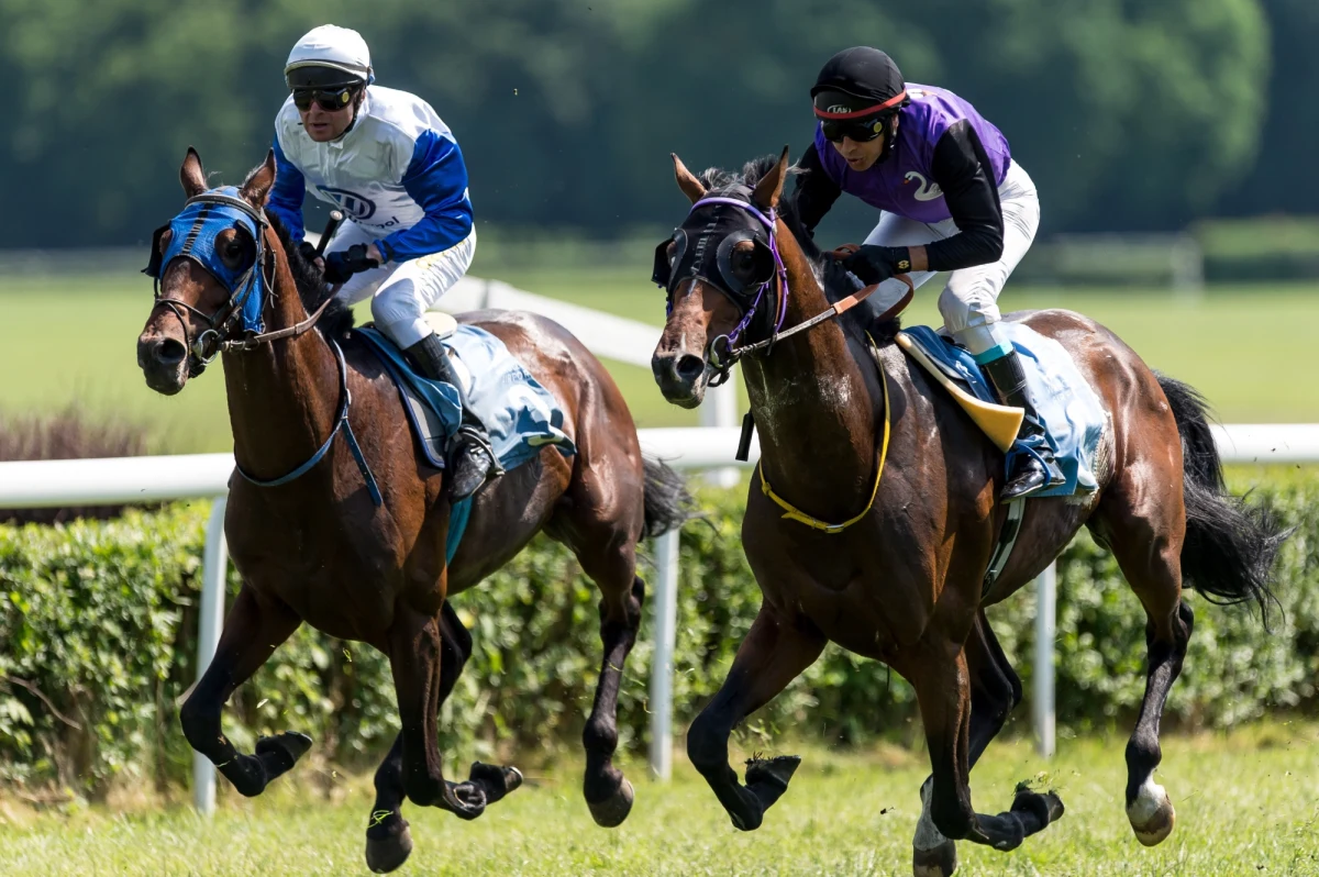 Włoski urząd nadzoru nad mediami i komunikacją (Agcom) zażądał wstrzymania publikacji zakamuflowanych sondaży przed wyborami parlamentarnymi 4 marca. W ostatnich 15 dniach przed głosowaniem, media podają sondaże jako wyniki wyścigów konnych lub konklawe.
