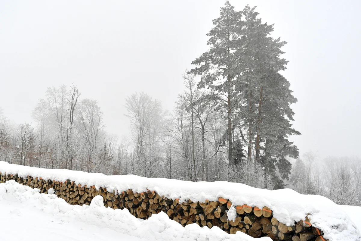 ​4 osoby zmarły z powodu wychłodzenia organizmu - poinformowało Rządowe Centrum Bezpieczeństwa w sobotę na Twitterze. RCB ostrzega, że najbliższe dni będą mroźne. 1. stopień zagrożenia w związku z silnym mrozem obowiązuje w 4 województwach - podaje Instytut Gospodarki i Meteorologii Wodnej.