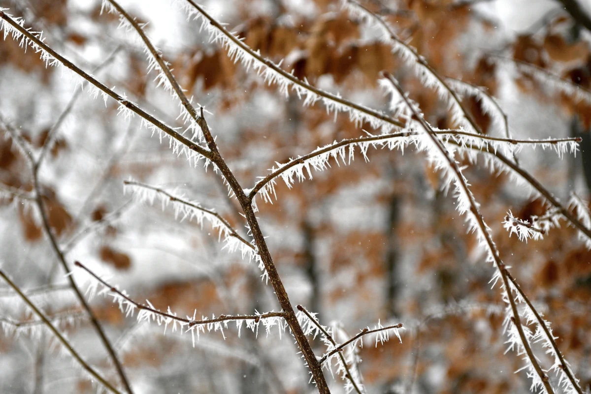 ​Kolejne dwie osoby zmarły od wczoraj z powodu wychłodzenia - podało Rządowe Centrum Bezpieczeństwa. Wczoraj Centrum przekazało, że z tego samego powodu zmarły cztery osoby. 