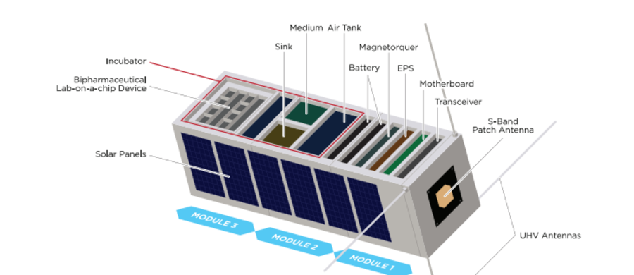 Polscy naukowcy przygotowują satelitę do testowania leków i obserwacji komórek nowotworowych w kosmosie. Robią to z myślą o astronautach, którzy w podróży np. na Marsa będą narażeni na długotrwałe działanie szkodliwego promieniowania kosmicznego.