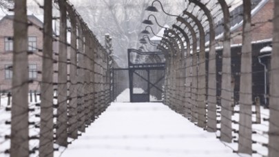 MEN o wpisie małopolskiej kurator oświaty o Auschwitz: Prywatna opinia
