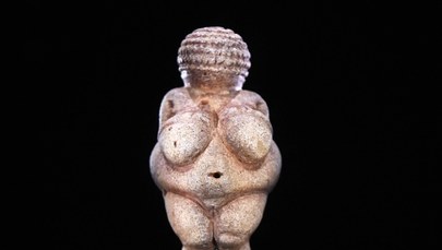 Facebook uznał figurkę Wenus z Willendorfu za pornografię