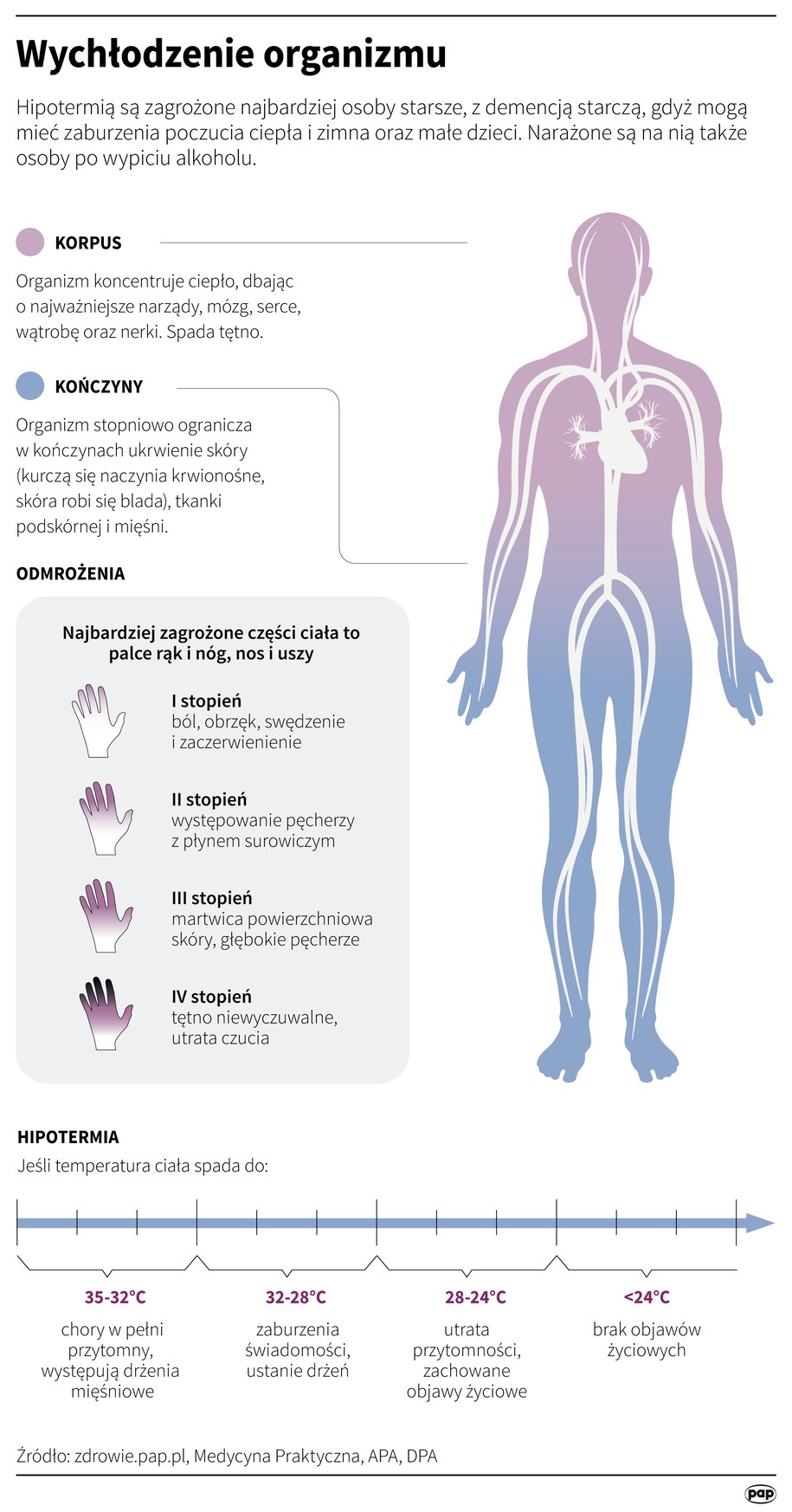 /Infografika PAP /PAP