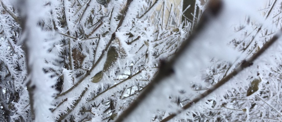 ​Dwie osoby zmarły minionej doby z powodu wychłodzenia organizmu - poinformowało Rządowe Centrum Bezpieczeństwa. Jedna z osób zmarła w województwie mazowieckim, druga w Lubuskiem. W związku z silnym mrozem w całym kraju obowiązuje pierwszy stopień zagrożenia.