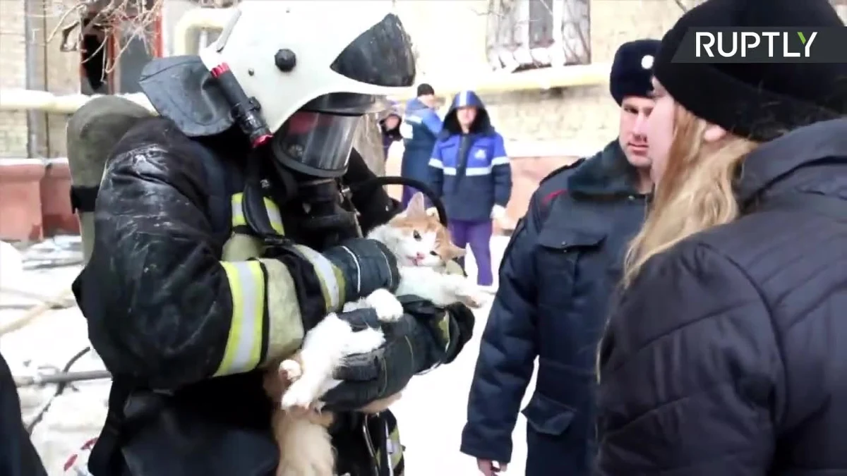 Podczas pożaru w Wołgogradzie w Rosji strażacy znaleźli ledwo oddychającego kota. Ratownicy wynieśli nieprzytomne od dymu zwierzę na zewnątrz i ruszyli do walki o jego życie. Dramatyczna akcja reanimacji przebiegała na oczach zrozpaczonej właścicielki czworonoga. Jeden ze strażaków masował serce kota, a drugi wdmuchiwał do jego pyszczka tlen z butli. Po dłuższej chwili można było usłyszeć oczekiwane „miau” i uratowany kot opuścił miejsce pożaru w objęciach właścicielki.