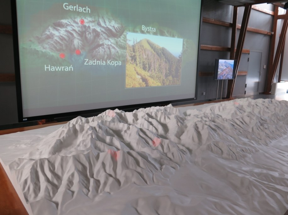 /Maciej Pałahicki /RMF FM