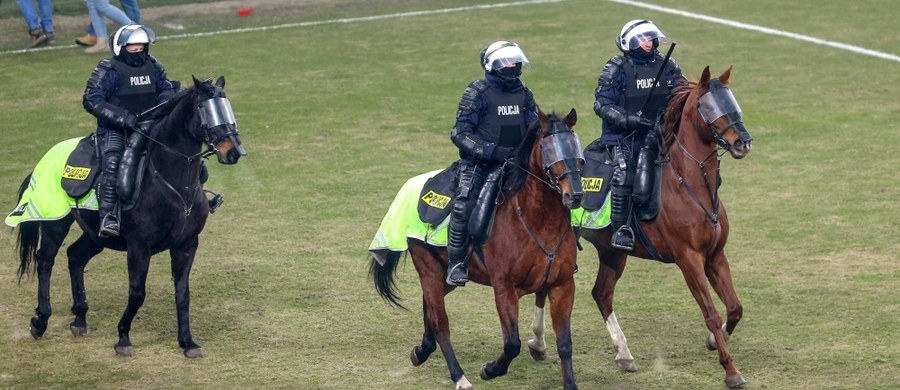 ​Siedmiu kolejnych mężczyzn zostało zatrzymanych pod zarzutem udziału w sobotnich burdach na stadionie Piasta w Gliwicach - poinformował PAP rzecznik gliwickiej policji Marek Słomski. Wcześniej prokuratura przedstawiła zarzuty sześciu innym uczestnikom zamieszek.