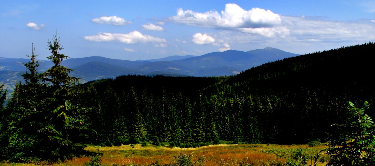 Nadzór budowlany z Nowego Targu wszczął postępowanie w sprawie nielegalnej budowy schroniska, postawionego przez byłego dyrektora Babiogórskiego Parku Narodowego na Przełęczy Krowiarki. Inspektorat powiadomiła o nieprawidłowościach tarnowska prokuratura. Jak ujawniliśmy, Józefowi O. zarzucono niegospodarność i przekroczenie uprawnień.