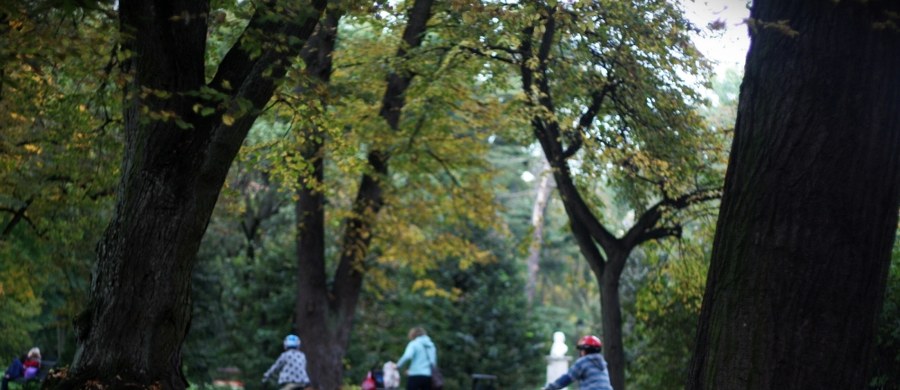 Zgodnie z definicją Światowej Organizacji Zdrowia, zdrowie to pełny dobrostan fizyczny, psychiczny i społeczny, a nie jedynie brak choroby lub kalectwa. Definicja ta utożsamia zdrowie z pojęciem dobrostanu i wskazuje na różne wymiary jakości życia człowieka. Jest wyrazem holistycznego, czyli całościowego, podejście do zdrowia. 