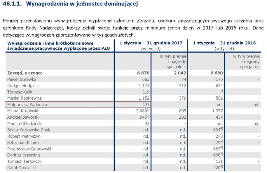 /Raport roczny PZU /
