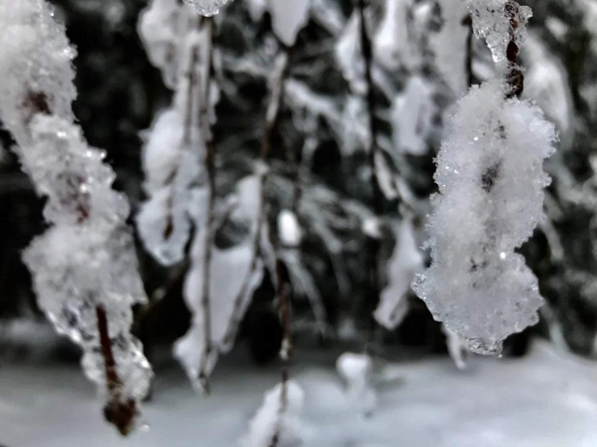 Zawieje i zamiecie śnieżne, marznące opady, które będą powodować oblodzenia - najnowsze prognozy rozczarują wszystkich, którzy wyglądali wiosny. Mimo marca, zima da się we znaki. Instytut Meteorologii i Gospodarki Wodnej wydał szereg ostrzeżeń. 
