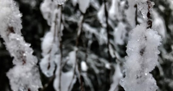 Zawieje i zamiecie śnieżne, marznące opady, które będą powodować oblodzenia - najnowsze prognozy rozczarują wszystkich, którzy wyglądali wiosny. Mimo marca, zima da się we znaki. Instytut Meteorologii i Gospodarki Wodnej wydał szereg ostrzeżeń. 