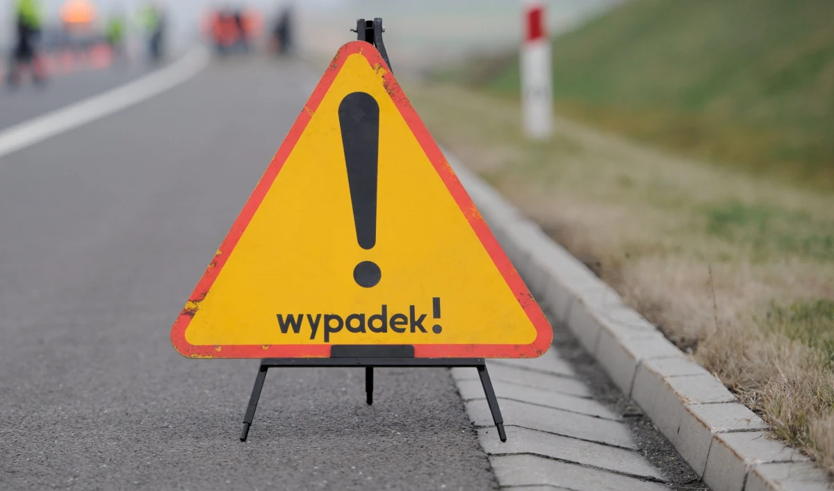 Analizy pokazują, że od początku roku zginęło 166 pieszych - poinformował Radosław Kobryś z Biura Ruchu Drogowego Komendy Głównej Policji. Od dziś w całej Polsce odbywa się akcja „Piesi”. 