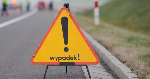 Analizy pokazują, że od początku roku zginęło 166 pieszych - poinformował Radosław Kobryś z Biura Ruchu Drogowego Komendy Głównej Policji. Od dziś w całej Polsce odbywa się akcja „Piesi”. 