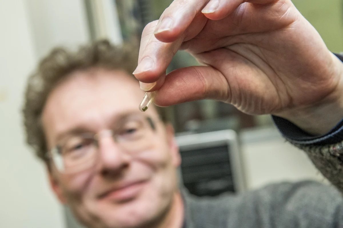 Na pytanie, jak głęboko w Ziemi może znajdować się woda, zaczynamy przypominać sobie szkolne informacje o głębokości Rowu Mariańskiego i odpowiadamy, że to około 11 kilometrów. Przekonanie o tym, że woda może znajdować niżej, niż na dnie najgłębszego z oceanów jest jednak błędne. Pokazują to wyniki najnowszych badań prowadzonych przez międzynarodowy zespół naukowców w Lawrence Berkeley National Laboratory (Berkeley Lab) i Argonne National Laboratory's Advanced Photon Source. Jak piszą na łamach czasopisma "Science", woda może znajdować się nawet w płaszczu Ziemi, dobrze ponad 500 kilometrów pod powierzchnią naszej planety.