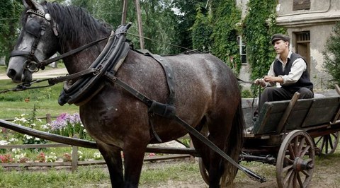 Zdjęcie ilustracyjne Wojenne dziewczyny odcinek 16 