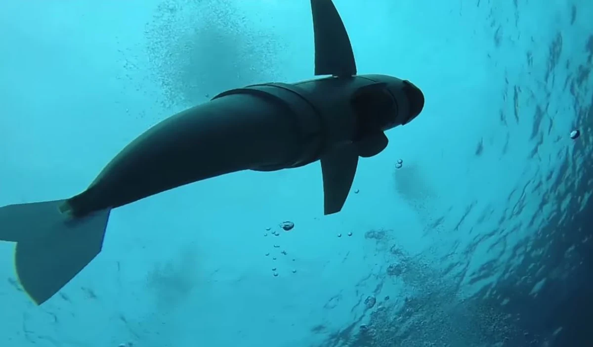 Pływa jak ryba, wygląda jak ryba, ale to… robot badawczy. Naukowcy stworzyli rybiego robota SoFi, który ma ułatwić badanie morskiego życia. Robocik może zanurkować nawet na 15 metrów.