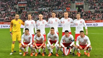 Polska - Nigeria 0-1. Oceny "Biało-Czerwonych"