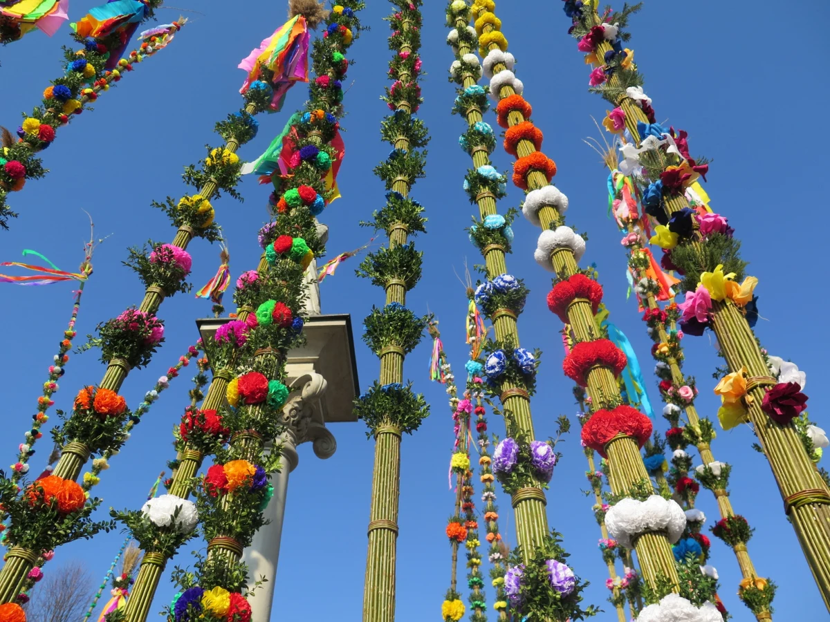 W małopolskiej Lipnicy Murowanej tradycyjnie w Niedzielę Palmową odbywa się 60. już konkurs palm wielkanocnych. Z pewnością najsłynniejszy w Polsce. Lipnickie palmy nie tylko są piękne, ale zapierają dech w piersiach swą wysokością. Najdłuższe tegoroczne palmy mają ponad 35 metrów. 