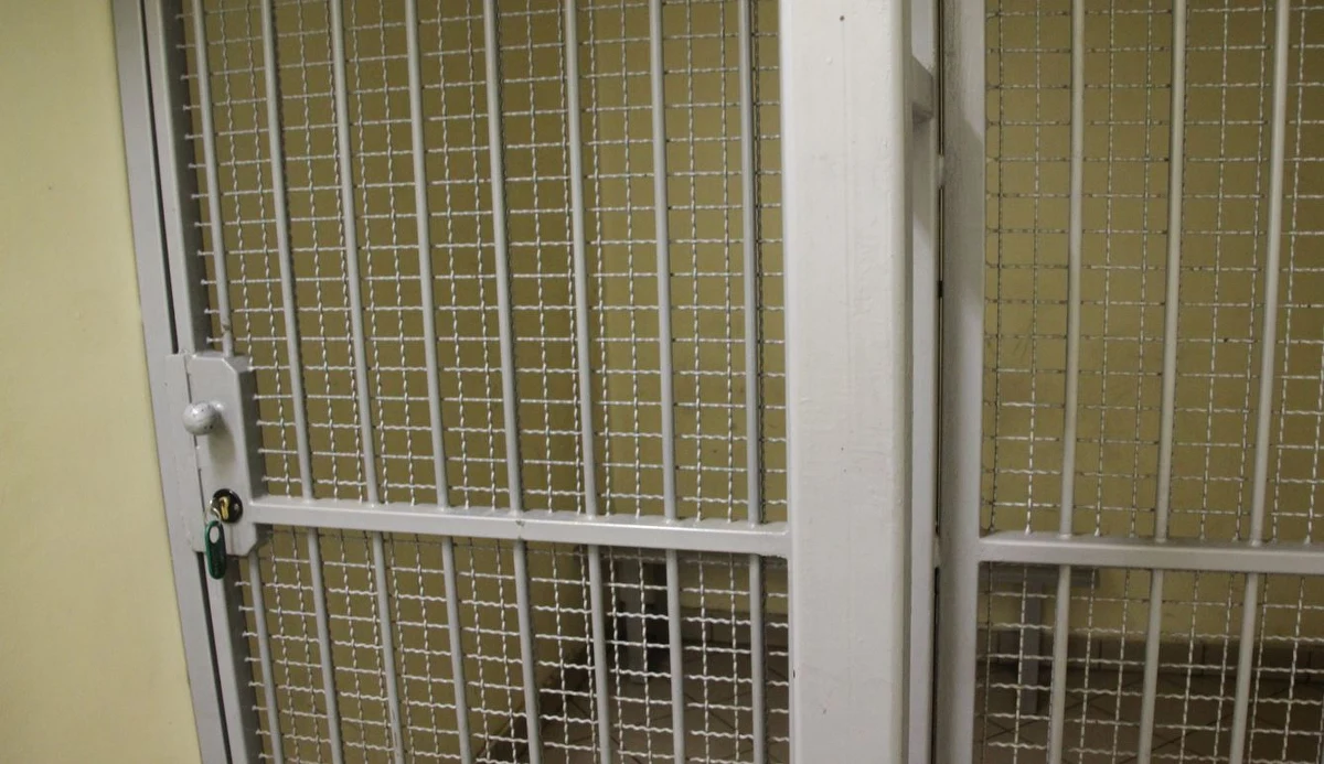 Funkcjonariusze Centralnego Biura Śledczego Policji i Biura Spraw Wewnętrznych Służby Więziennej zatrzymali dziewięć osób. Są podejrzane handlowanie narkotykami w zakładzie karnym we Wronkach w Wielkopolsce. Grupa działała od ponad siedmiu lat. 