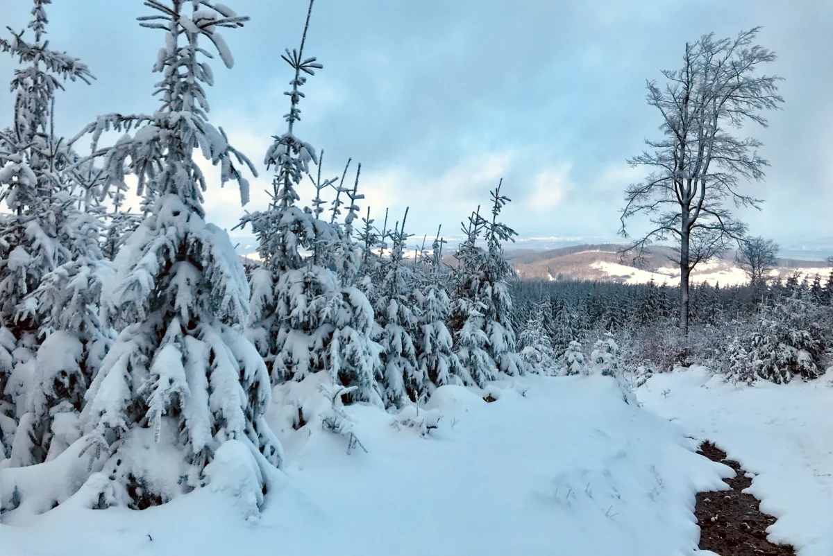 Zima wciąż wygrywa z wiosną. Śnieg przykryje niemal połowę kraju. Porywisty wiatr może powodować zawieje śnieżne - informuje Instytut Meteorologii i Gospodarki Wodnej. W rejonach podgórskich nad ranem pojawi się gołoledź.