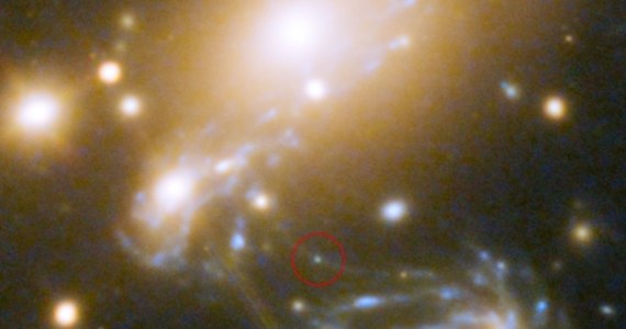 Kosmiczny teleskop Hubble'a pobił kolejny rekord, dostrzegł światło od najdalszej dotąd odkrytej gwiazdy - informuje na łamach czasopisma "Nature Astronomy" miedzynarodowy zespół naukowców. Gwiazda, niebieski olbrzym, istniejący już 4,4 miliarda lat po Wielkim Wybuchu, jest około 100 razy za daleko, by można było ją normalnie badać. Szansa jej obserwacji pojawiła się dzięki wyjątkowemu zbiegowi okoliczności i zjawisku mikrosoczewkowania grawitacyjnego, które wzmocniło jej światło około 2000 razy. Badania tego typu obiektów mogą pomóc w odkryciu kolejnych tajemnic procesu powstawania gwiazd i galaktyk we wczesnym Wszechświecie. 