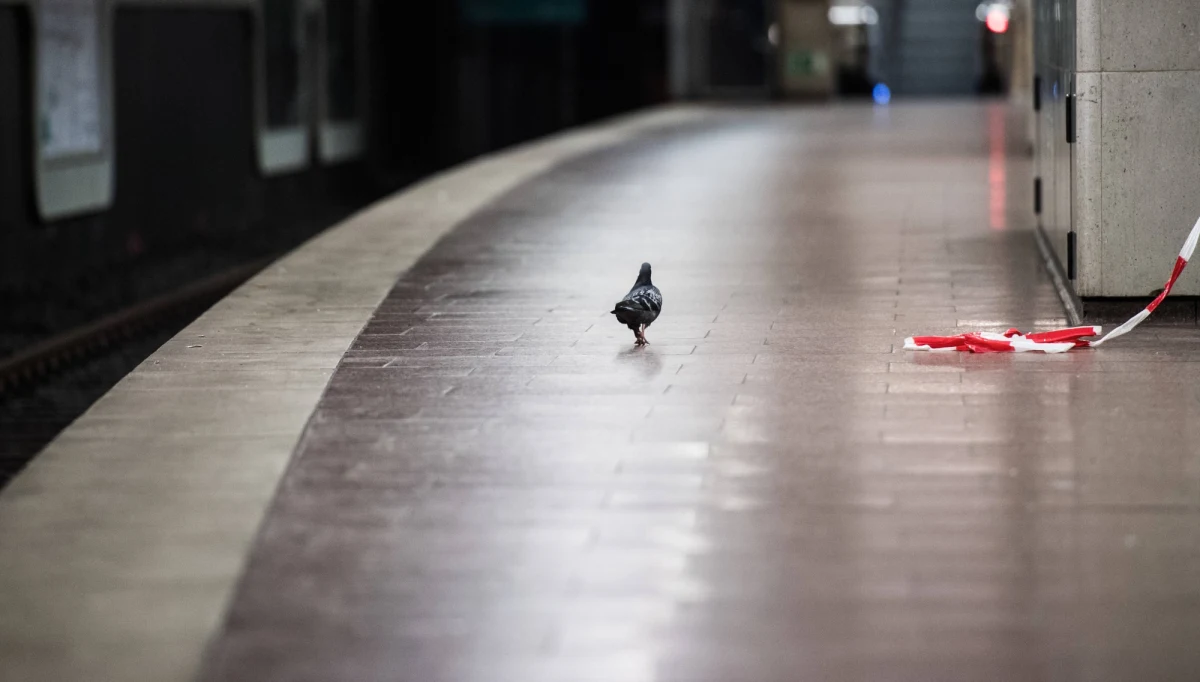 Co najmniej 22 osoby odniosły obrażenia, gdy w Duisburgu (Nadrenia Północna-Westfalia) doszło do kolizji dwóch pociągów metra - informuje magazyn "Focus" w wydaniu online.