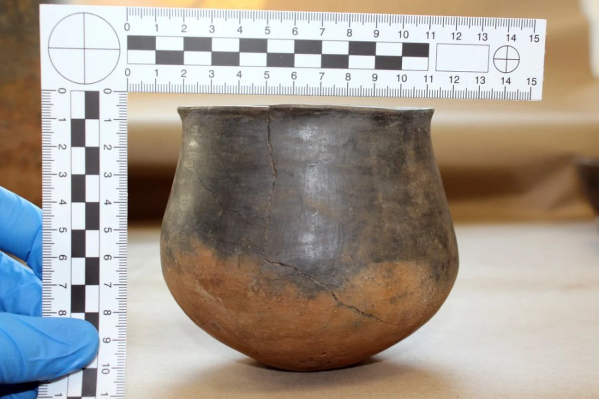 Niezwykle cenne, pochodzące z epoki brązu naczynia zabezpieczyli policjanci z Wilanowa. Liczące 3000 lat misy były elementem wystroju mieszkania na jednym z wilanowskich osiedli. Do odkrycia nie doszłoby, gdyby nie spostrzegawczość pewnego archeologa.