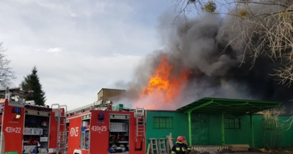 Pożar hali magazynowej w opolskim Kluczborku. Ogień wybuchł po południu w czwartek. Wieczorem udało się go opanować. Jego dogaszanie trwało do piątkowego poranka. Na miejscu pracowało ponad 30 zastępów straży pożarnej. 