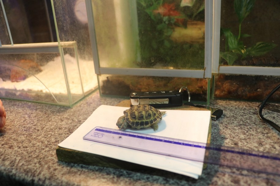 /Józef Polewka /RMF FM