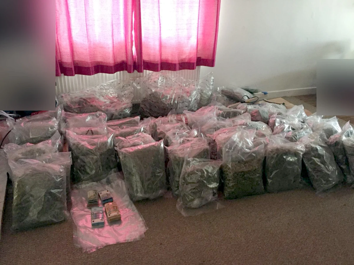 Policjanci z CBŚP ustalili, że na terenie Irlandii dwóch Polaków zajmuje się przestępczością narkotykową. Tę informację przekazali kolegom z policji irlandzkiej, która zatrzymała podejrzanych o udział w obrocie hurtowymi ilościami narkotyków oraz zabezpieczyła 78 kg marihuany wartej 1,6 miliona euro. Działania były koordynowane przez Europol. 