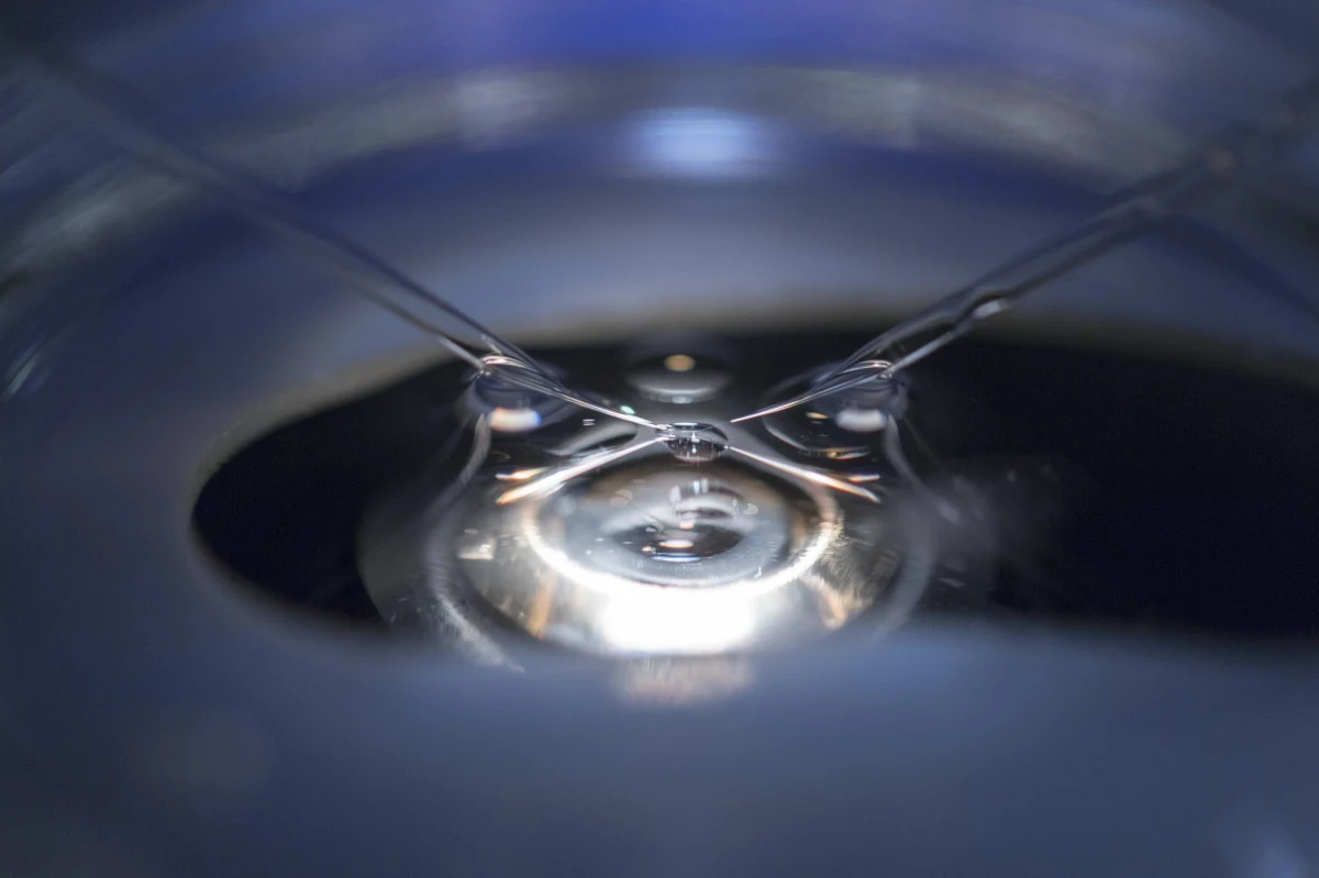 Lekarz z kanadyjskiej kliniki leczenia niepłodności został pozwany przez kilkadziesiąt osób. Twierdzą one, że dr Norman Barwin użył swojego nasienia lub spermy nieznanych osób do zapłodnienia ich matek. 