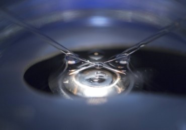 Skandal w klinikach in vitro. Lekarz miał zapładniać pacjentki własnym nasieniem