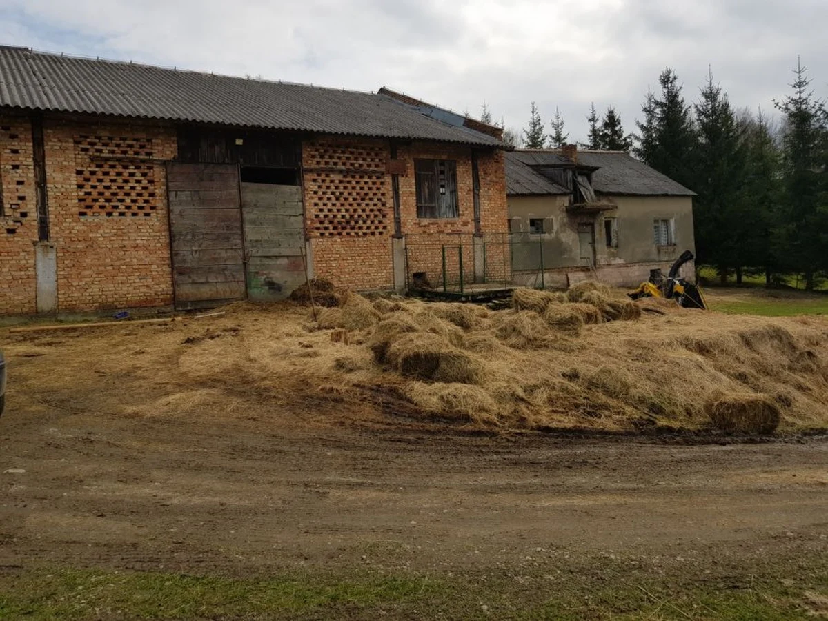 Policjanci z Leska na Podkarpaciu zajmują się sprawą zwierząt przebywających w skandalicznych warunkach, w jednym z gospodarstw w Bereżnicy Wyżnej. Na posesji znaleziono cztery martwe konie. Pozostałe zwierzęta były zaniedbane, nie  miały pożywienia i wody. Przesłuchano 43-letnia kobietę, która miała sprawować nad nimi opiekę.
