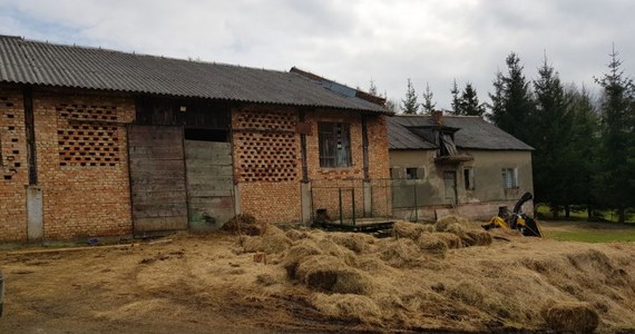 Policjanci z Leska na Podkarpaciu zajmują się sprawą zwierząt przebywających w skandalicznych warunkach, w jednym z gospodarstw w Bereżnicy Wyżnej. Na posesji znaleziono cztery martwe konie. Pozostałe zwierzęta były zaniedbane, nie  miały pożywienia i wody. Przesłuchano 43-letnia kobietę, która miała sprawować nad nimi opiekę.