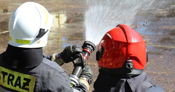 Małopolscy strażacy ugasili pożar ponad 4 hektarów nieużytków w okolicach Jankowic w powiecie chrzanowskim. To największy w tym roku pożar spowodowany wypalaniem traw. 