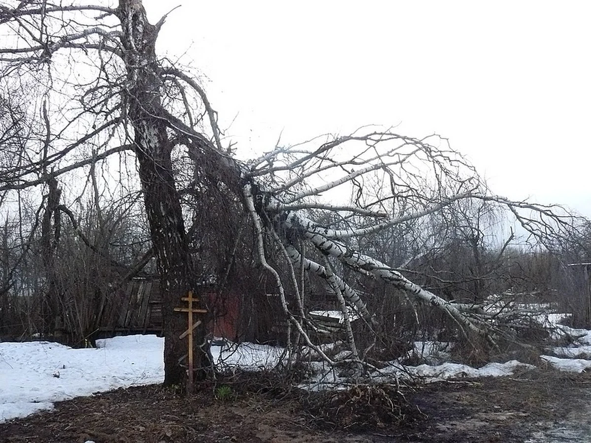 Aleksandr Syriewicz jest właścicielem działki, na której znajduje się fragment miejsca, gdzie doszło do katastrofy Tu-154M. Jak twierdzi, pod koniec tego miesiąca, mają się tam rozpocząć kolejne prace budowlane. "W związku z tym przez około dwa tygodnie dostęp do miejsca katastrofy będzie zamknięty" - powiedział. Syriewicz, dyrektor firmy Wiek, od ubiegłego roku jest właścicielem działki sąsiadującej z lotniskiem Siewiernyj w Smoleńsku, która wcześniej należała do Smoleńskich Zakładów Lotniczych.
