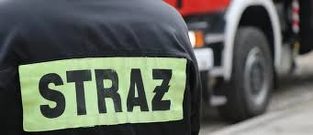 Podkarpaccy strażacy opanowali już pożar 60 hektarów łąk i nieużytków oraz 10 hektarów lasu w okolicach Poręb Furmańskich koło Tarnobrzega. 