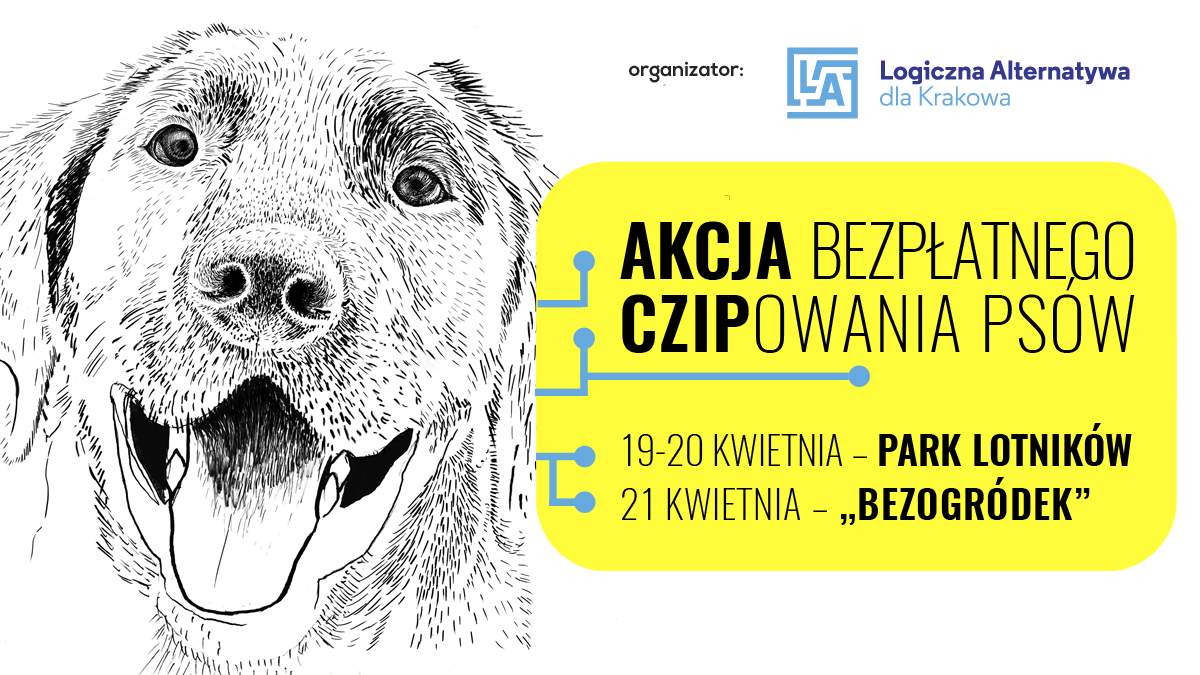Akcja bezpłatnego czipowania psów fakty.interia.pl Zaczipuj swojego psa! | Kurier Poranny