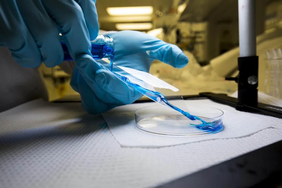 Ekrany komórek i blaty stołów, obiektywy aparatów fotograficznych i podłogi - wszystkie te powierzchnie mogą być chronione przed brudem dzięki wynalazkowi naukowców z Uniwersytetu Michigan. Opracowali oni powłokę, do której praktycznie nic nie przylega, która jest omnifobowa, czyli odpycha wszystko, zarówno wodę, jak i alkohol, olej, czy nawet masło orzechowe. O powłoce, która jest dodatkowo przezroczysta, odporna na ścieranie i łatwa do nałożenia pisze w najnowszym numerze czasopismo "ACS Applied Materials & Interfaces".