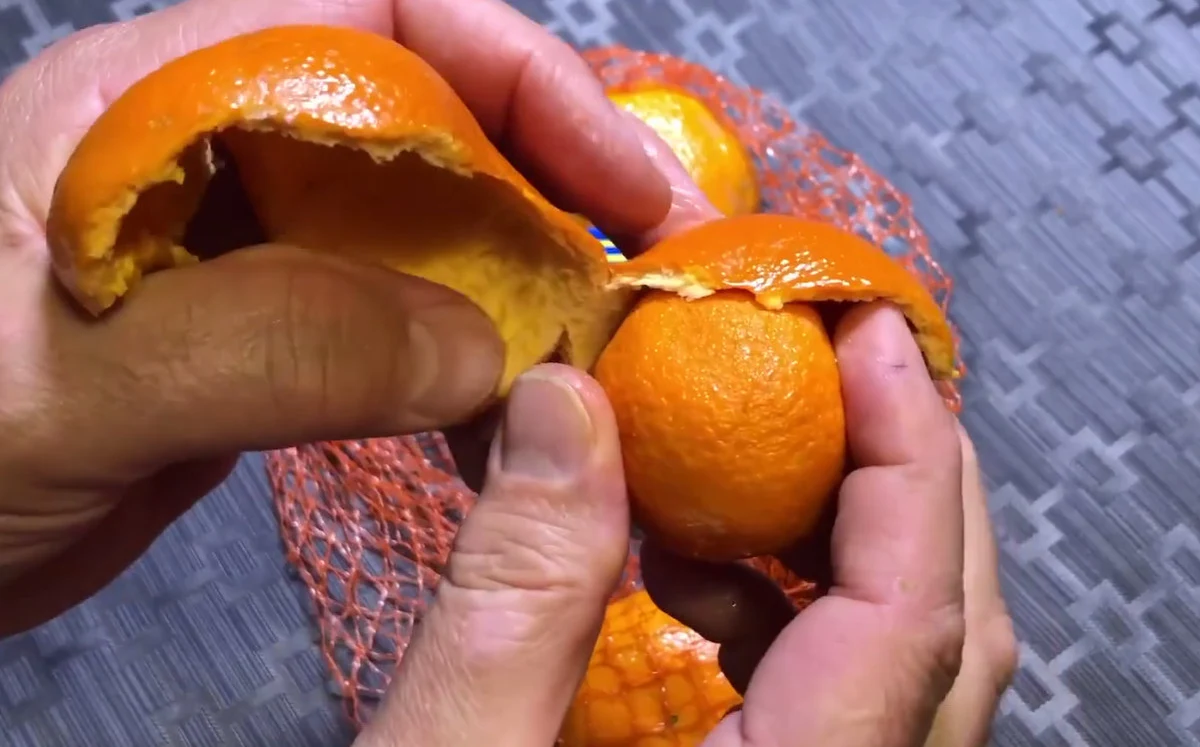 Wybryk natury czy udana sztuczka? Oglądając to wideo, można długo się nad tym zastanawiać. Autor nagrania znalazł mandarynkę w… mandarynce. 