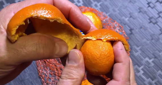 Wybryk natury czy udana sztuczka? Oglądając to wideo, można długo się nad tym zastanawiać. Autor nagrania znalazł mandarynkę w… mandarynce. 