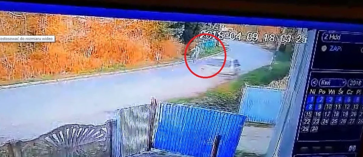 ​O krok od wypadku w powiecie namysłowskim. Pijany mężczyzna prowadził samochód i sekundy dzieliły go od zderzenia z rowerzystą. Swój rajd zakończył na słupie energetycznym.