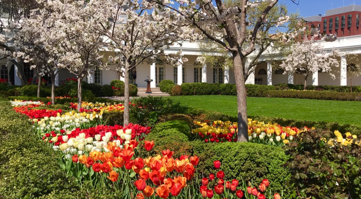 W Waszyngtonie w końcu zrobiło się ciepło. To doskonała okazja, by pokazać Wam, jak wyglądają wiosną ogrody Białego Domu i cały teren przy rezydencji amerykańskiego prezydenta. 