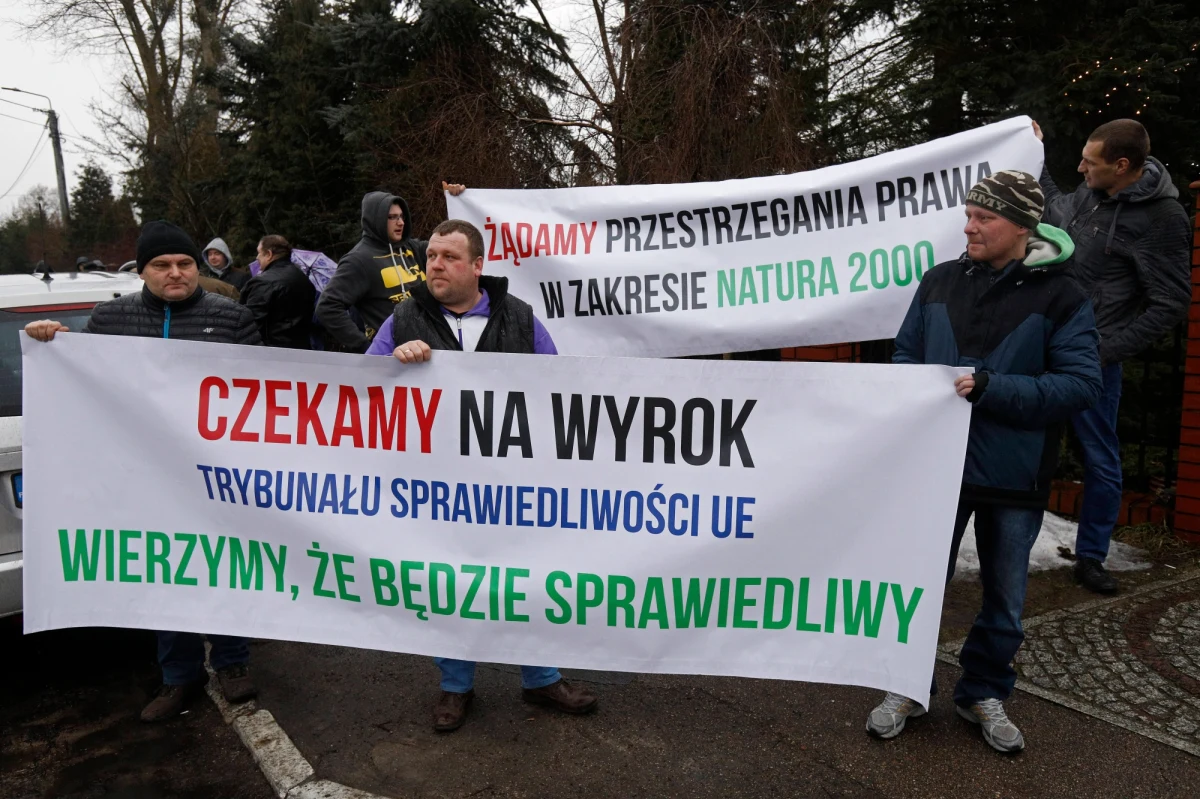 Przed nami ostateczny finał sporu o wycinkę w Puszczy Białowieskiej. Przedsiębiorstwo Lasy Państwowe spodziewa się się negatywnego dla Polski wyroku Trybunału Sprawiedliwości Unii Europejskiej - wynika z rozmowy dziennikarza RMF FM z rzeczniczką Lasów Państwowych Anną Malinowską.